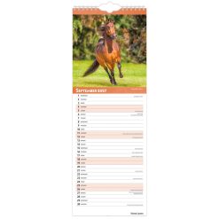 Horse Lovers 2027 Slimline Wall Calendar - Image 4