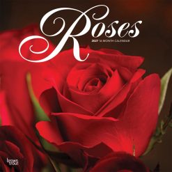 Roses 2027 Square Wall Calendar