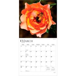 Roses 2027 Square Wall Calendar - Image 3
