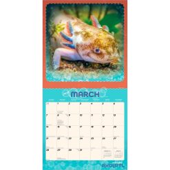 Adorable Axolotl 2027 Square Wall Calendar - Image 3