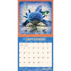 Adorable Axolotl 2027 Square Wall Calendar - Image 4