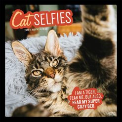 Cat Selfies 2027 Square Wall Calendar