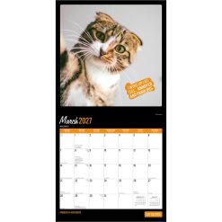 Cat Selfies 2027 Square Wall Calendar - Image 3