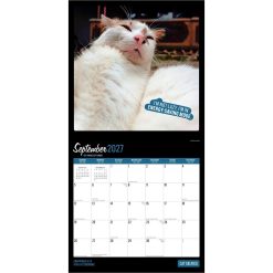 Cat Selfies 2027 Square Wall Calendar - Image 4