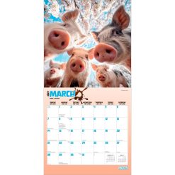 Pigsty 2027 Square Wall Calendar - Image 3