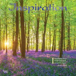 Inspiration 2027 Square FOIL Wall Calendar