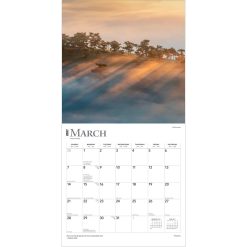 Psalms 2027 Square Wall Calendar - Image 3