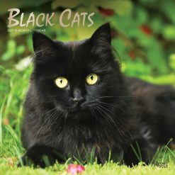 Black Cats 2027 Square FOIL Wall Calendar