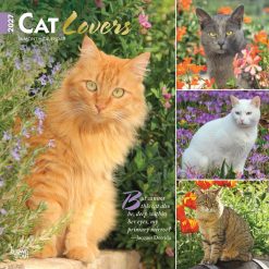 Cat Lovers 2027 Square FOIL Wall Calendar
