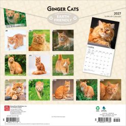 Alternative view of Ginger Cats 2027 Square Wall Calendar