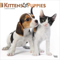 Kittens & Puppies 2027 Square FOIL Wall Calendar
