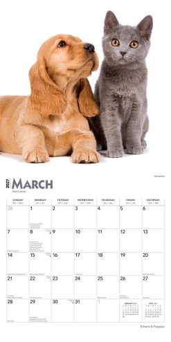 Kittens & Puppies 2027 Square FOIL Wall Calendar - Image 3