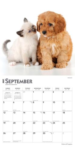 Kittens & Puppies 2027 Square FOIL Wall Calendar - Image 4