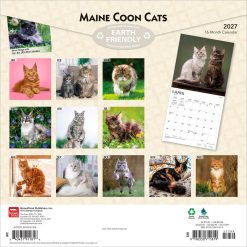 Alternative view of Maine Coon Cats 2027 Square Wall Calendar