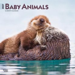 Baby Animals 2027 Square Wall Calendar