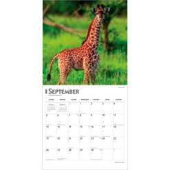 Baby Animals 2027 Square Wall Calendar - Image 4