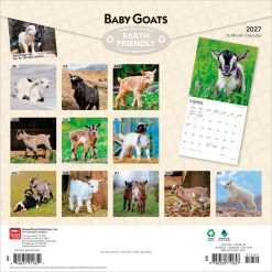 Alternative view of Baby Goats 2027 Square Wall Calendar
