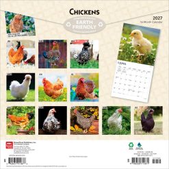 Alternative view of Chickens 2027 Square Wall Calendar