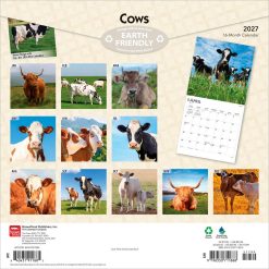 Alternative view of Cows 2027 Square Wall Calendar