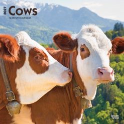Cows 2027 Square Wall Calendar