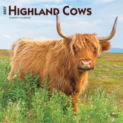 Highland Cows 2027 Square Wall Calendar