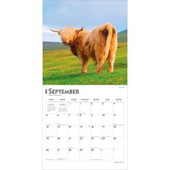 Highland Cows 2027 Square Wall Calendar - Image 4