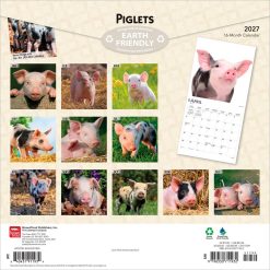 Alternative view of Piglets 2027 Square Wall Calendar
