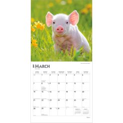 Piglets 2027 Square Wall Calendar - Image 3