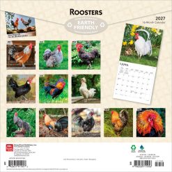Alternative view of Roosters 2027 Square Wall Calendar