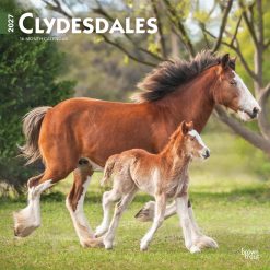 Clydesdales 2027 Square Wall Calendar