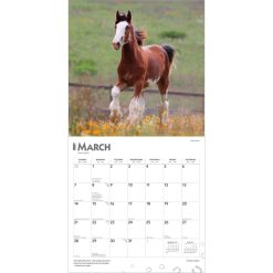 Clydesdales 2027 Square Wall Calendar - Image 3