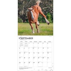 Clydesdales 2027 Square Wall Calendar - Image 4