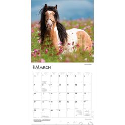 Horse Lovers 2027 Square Wall Calendar - Image 3