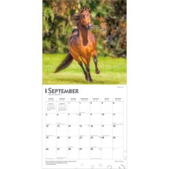 Horse Lovers 2027 Square Wall Calendar - Image 4