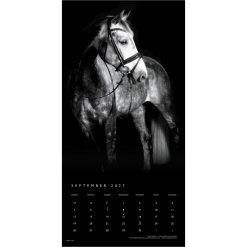 The Noble Horse, The BrownTrout Portrait Series 2027 Square Wall Calendar - Image 4