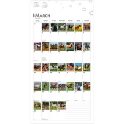 365 Days of Horses 2027 Square Wall Calendar - Image 3