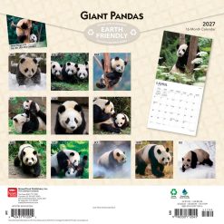 Alternative view of Giant Pandas 2027 Square Wall Calendar