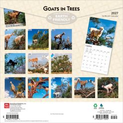 Alternative view of Goats in Trees 2027 Square Wall Calendar