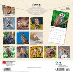Alternative view of Owls 2027 Square Wall Calendar
