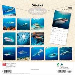 Alternative view of Sharks 2027 Square Wall Calendar