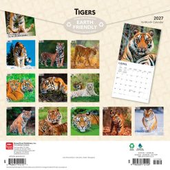 Alternative view of Tigers 2027 Square Wall Calendar