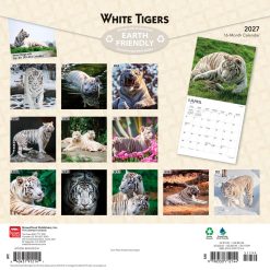 Alternative view of White Tigers 2027 Square Wall Calendar