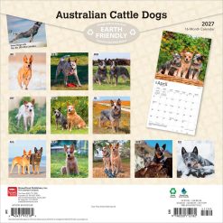 Alternative view of Australian Cattle Dogs 2027 Square Wall Calendar