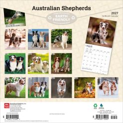 Alternative view of Australian Shepherds 2027 Square Wall Calendar