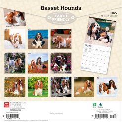 Alternative view of Basset Hounds 2027 Square Wall Calendar