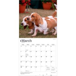 Basset Hounds 2027 Square Wall Calendar - Image 3