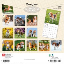 Alternative view of Beagles 2027 Square Wall Calendar