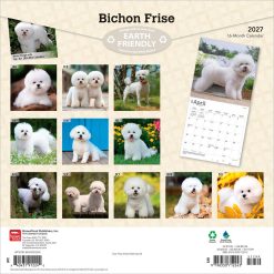 Alternative view of Bichon Frise 2027 Square Wall Calendar