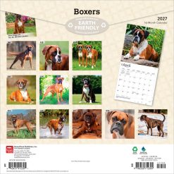 Alternative view of Boxers International Edition 2027 Square Wall Calendar