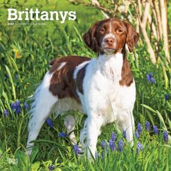 Brittanys 2027 Square Wall Calendar